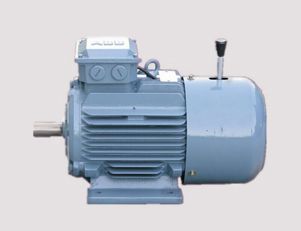 南陽三相異步電動機的定期檢修