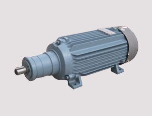 南陽電機廠的高壓電機定期維護的內容是什么呢？